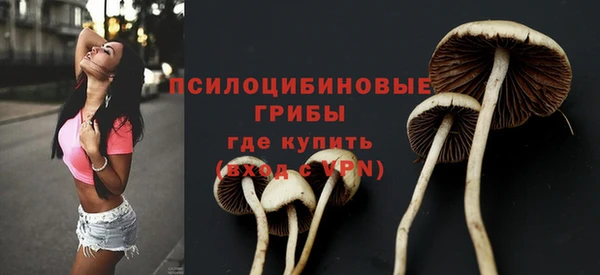 apvp Каменск-Шахтинский