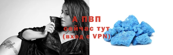 СК Инта