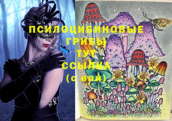 марки lsd Каменногорск