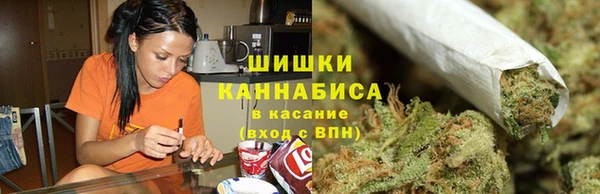 ALPHA PVP Инсар