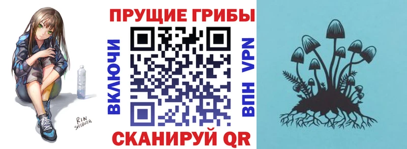 Галлюциногенные грибы Psilocybine cubensis Купить Новодвинск